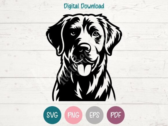 Chesapeake Bay Retriever Dog SVG PNG