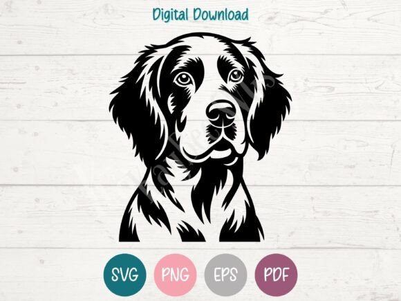 English Setter Dog SVG PNG EPS PDF