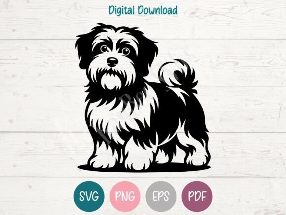 Havanese Dog SVG PNG EPS PDF Design