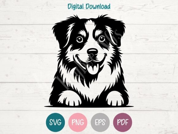 Miniature American Shepherd Dog SVG PNG