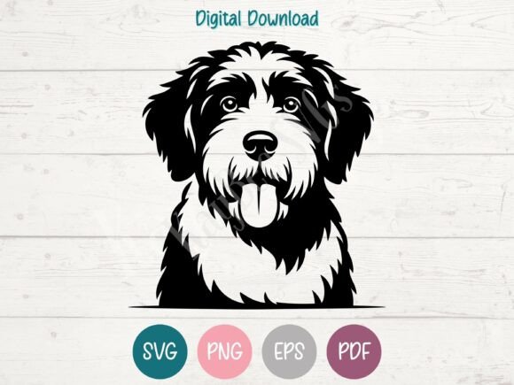 Spanish Water Dog SVG PNG EPS PDF