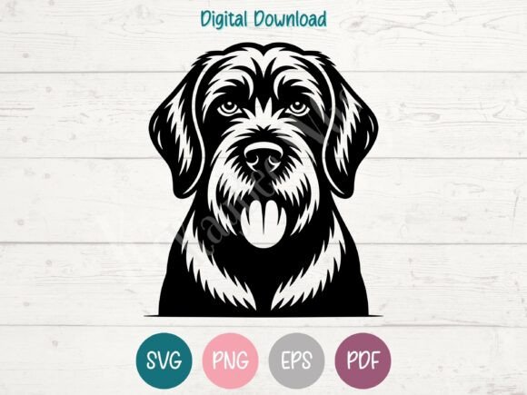 Spinone Italiano Dog SVG PNG EPS PDF