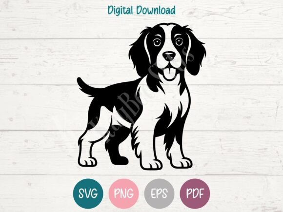 Welsh Springer Spaniel Dog SVG PNG EPS
