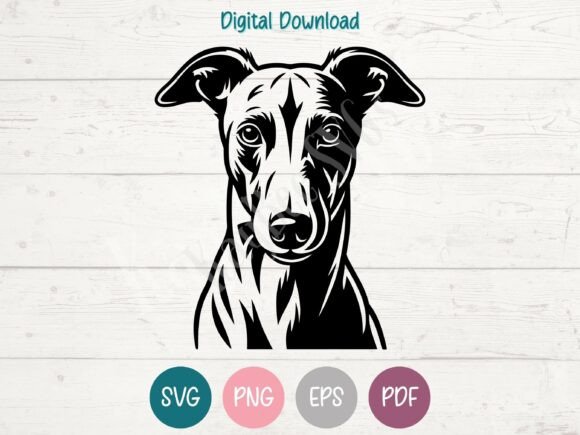 Whippet Dog SVG PNG EPS PDF Design