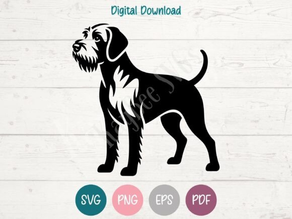 Wirehaired Vizsla Dog SVG PNG EPS PDF